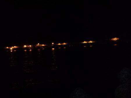 太刀魚調査・・・渋かった(泣)